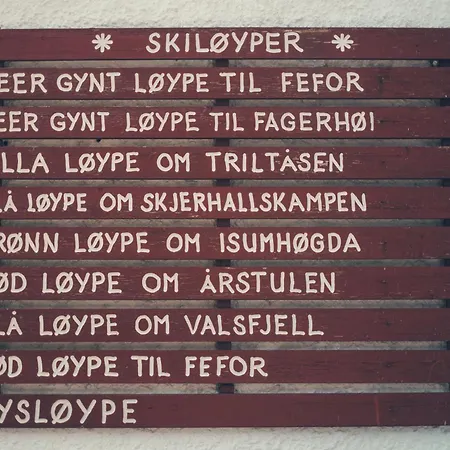 Hogfjellshotell