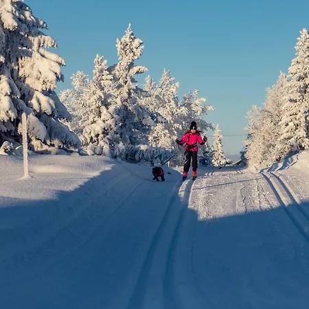 Hogfjellshotell Szálloda