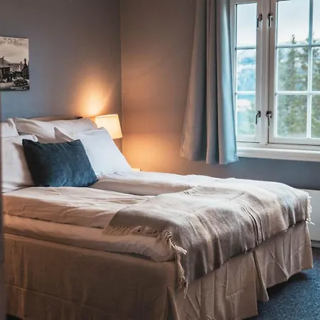 Hotel Hogfjellshotell *