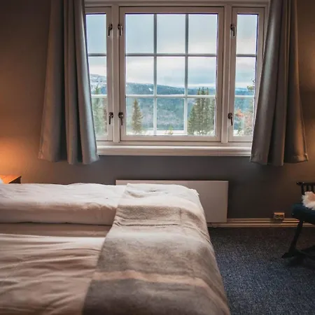 Hogfjellshotell *