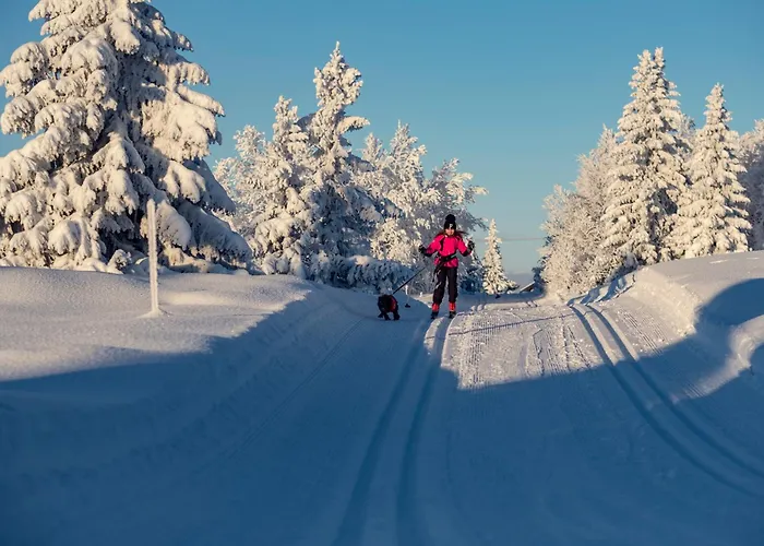 Hogfjellshotell Hotel